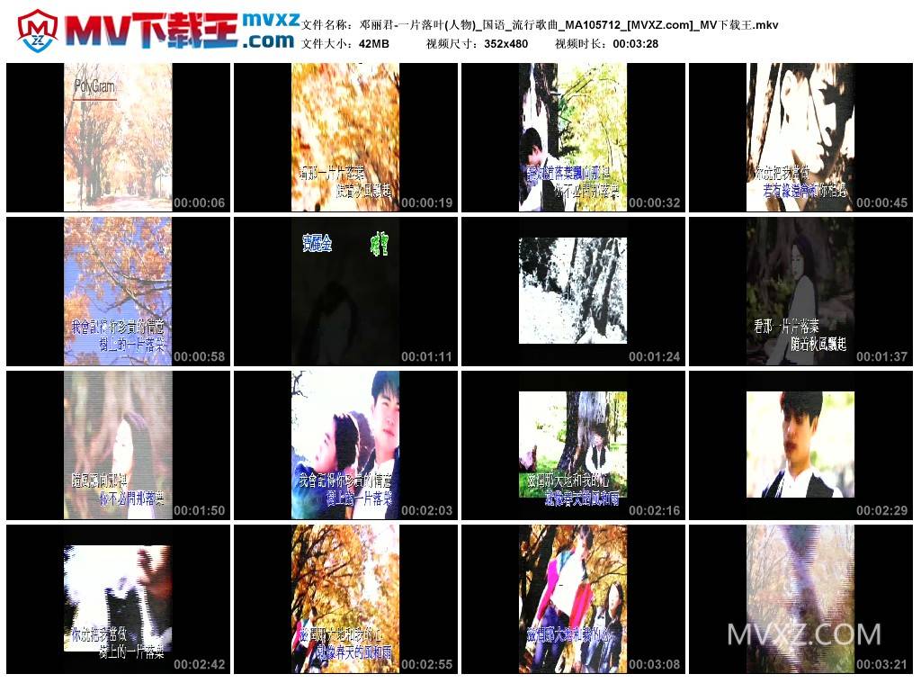 邓丽君-一片落叶(人物)_国语_流行歌曲_MA105712